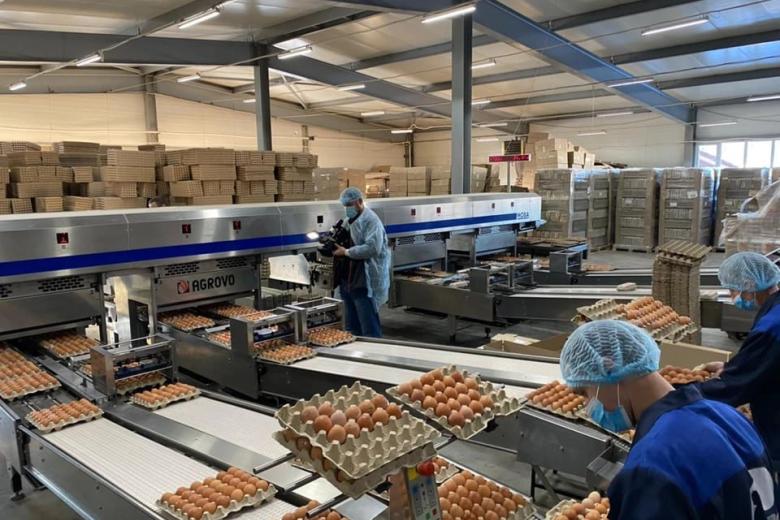 Отобраны ключевые проекты для АПК Костромской области